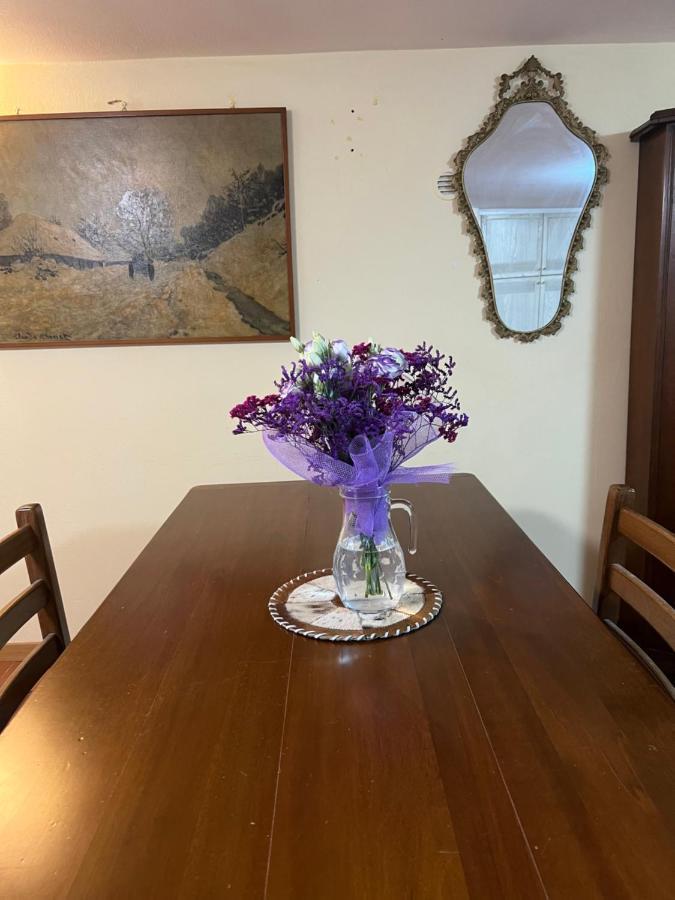 Cozy House Giulia, Wi - Fi , Parking Διαμέρισμα Ραβένα Εξωτερικό φωτογραφία